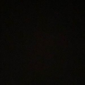 Meet your Posher, Eva